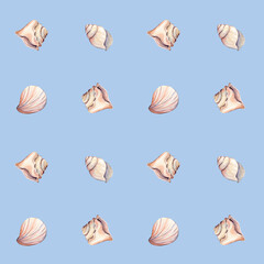 Seamless pattern with sea shells