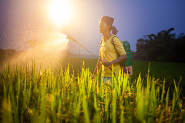 young indian farmer using crop sprayer in the sunset silhouette
