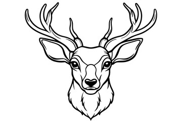 Head of deer line art vector illustration 