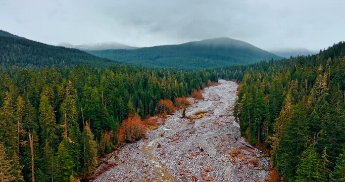 Flying over the no-tree area covered with stones and some narrow streams. Pine tree forests growing in the Mount Rainer National park, Washington State, the USA.