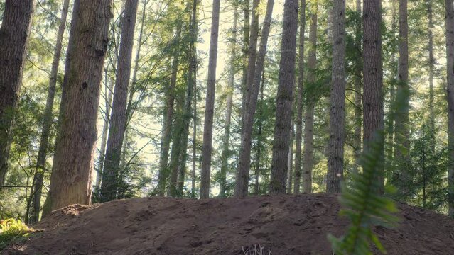 Man Performing Front Flip on Dirt Bike Jump