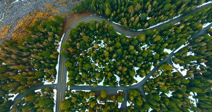 Two asphalt roads cross in the pine-tree forest in winter. Aerial perspective on the Mount Rainer National park, Washington State, the USA.