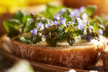 Fresh ground-ivy flowers and leaves harvested in spring on a slice of sourdough bread