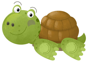 cartoon scene with happy turtle animal amphibian theme isolated background illustration for children