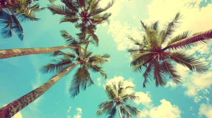 Gordijnen Tropical Paradise Tall Coconut Palm Trees Silhouetted Against a Blue Sky, Summer Vibes. This scenic image features tall coconut palm trees against a clear blue sky with fluffy white clouds © Helen-HD