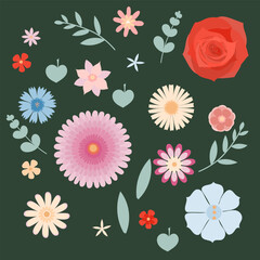 Set of garden flowers. Vector illustration
