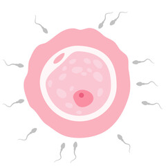 In vitro fertilization. Artificial insemination, fertilisation, Injecting sperm into egg cell. Assisted reproductive treatment - 785744208
