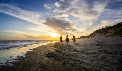 Three people are riding horses along the beach during sunset - obrazy, fototapety, plakaty