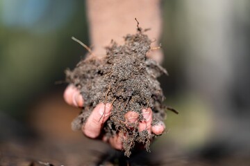 agronomist on a farm practicing agronomy holding soil, doing soil tests in her home laboratory....