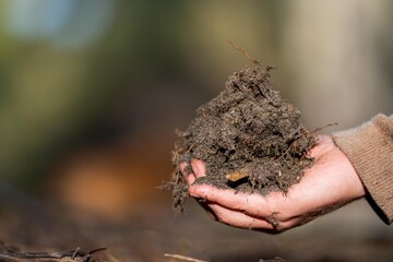 agronomist on a farm practicing agronomy holding soil, doing soil tests in her home laboratory....
