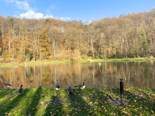 Green leisure park Bois des Reves with lake in Ottignie Louvain la Neuve, province of Walloon...
