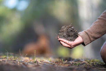 soil scientist agronomist farmer looking at soil samples and grass in a field in spring. looking at growth of plants and soil health.