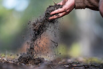 university student conducting research on forest health. farmer collecting soil samples in a test...