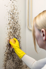 A woman washes a wall from fungus. side view
