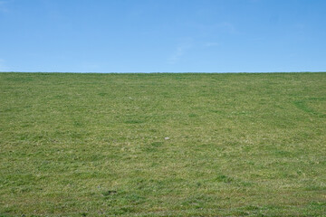 Idyllic East Frisian Dyke Beneath Radiant Blue Sky