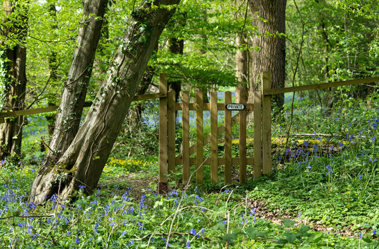 Gate to a Private Part of Woodland