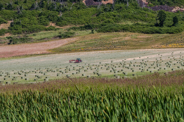 Hay fields with tractor