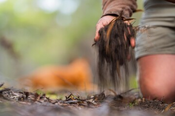 regenerative organic farmer, taking soil samples and looking at plant growth in a farm. practicing...