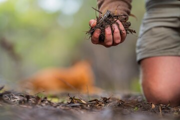 soil scientist agronomist farmer looking at soil samples and grass in a field in spring. looking at growth of plants and soil health.