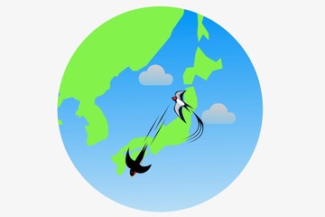 Fototapeta premium 玄鳥去 つばめさる