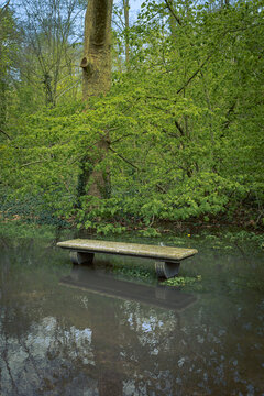Picturesque bench in a parc after rain 