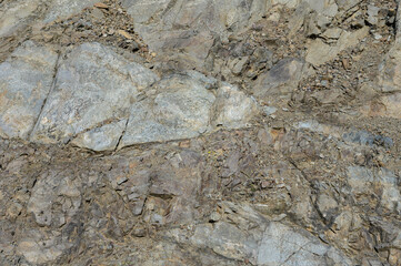 Textured stone sandstone surface. Close up image