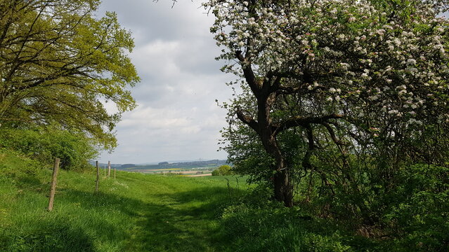 Perspectives around the Scharfenstein parking lot on the 
A49 near 
34281 Gudensberg in North Hesse