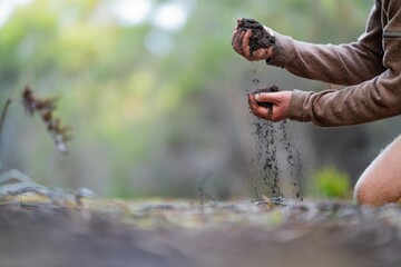 university student conducting research on forest health. farmer collecting soil samples in a test tube in a field. Agronomist checking soil carbon and plant health on a farm in australia