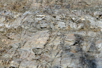 Textured stone sandstone surface. Close up image 1