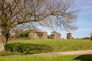 derelict and abandoned houses