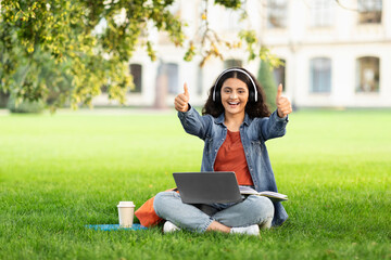 Woman giving thumbs up with laptop on grass - obrazy, fototapety, plakaty
