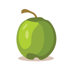 Cartoon green coconut fruit isolated on white, flat vector illustration 