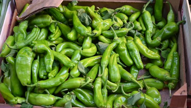 Fresh green pepper displayed in local market. Vegetable for sale. 