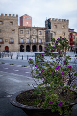 Gijón's iconic plaza, adorned with vibrant purple blooms, stands as a cultural gem.