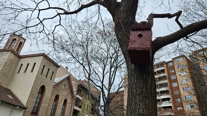 Bird feeder on a tree in a park, buildings in the background