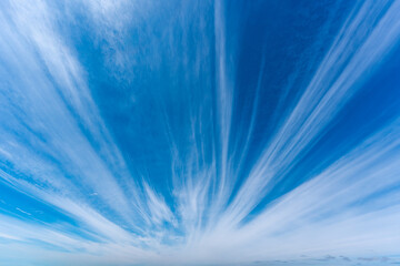 Clouds that take the form of fine filaments, as if they were hair or fibers, with radial composition. Its scientific name is cirrus - obrazy, fototapety, plakaty
