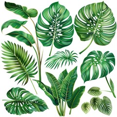 This image features a collection of tropical leaves, showcasing various shapes and shades of green with a realistic and detailed design