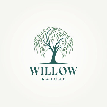 the willow tree nature icon logo vector illustration design. simple modern natural harmony and elegant foliage logo concept