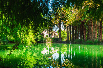 Naklejka premium Serene Oasis in San Miguel Allende
