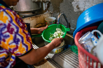 A woman's hands wash vegetables before cooking them.