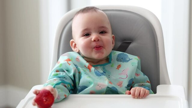 Cute Baby Boy Sitting in High Chair Eating a Strawberry. Home, Mealtime.