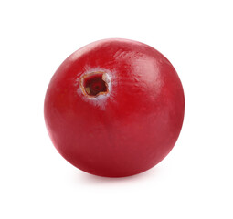 One fresh ripe cranberry isolated on white