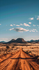 Expansive, Arid Australian Outback with a Rough Dirt Road