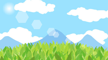 青空と茶畑の景色をイメージしたイラスト　アスペクト比16：9バージョン
