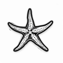 An engraving of a starfish.