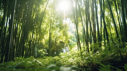 The road to the bamboo forest.AI generated image