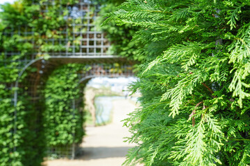 緑の葉が囲む公園に設置されたゲート