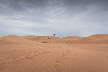 Fototapeta na wymiar Close up background on the desert sand in Inner Mongolia, China.