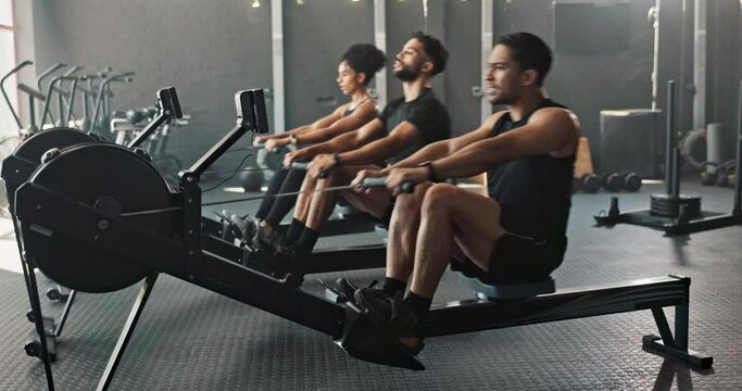 Gym, people and rower for fitness, exercise and cardio with endurance or progress with wellness. Rowing, group or health center with equipment, active or training with friends or workout with routine