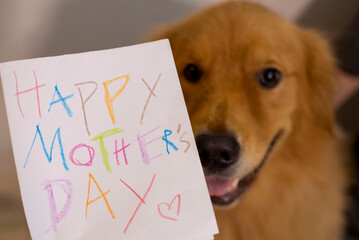 Happy Mother´s Day card with golden retriever dog unfocused at the background